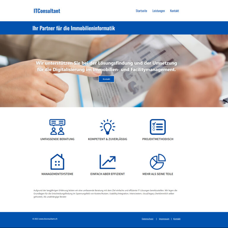 Referenz Dienstleister IT-Consulting
